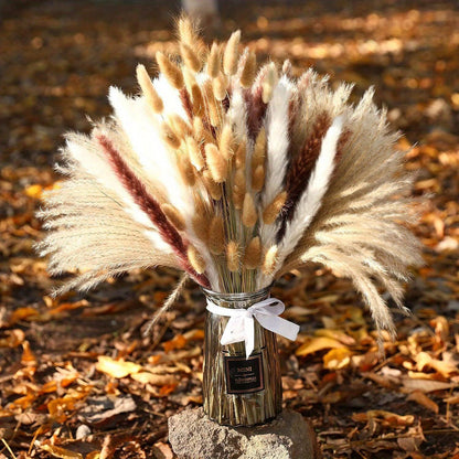 120 Stems Real Dried Pampas Grass Bunch Of 4 Varieties By PK LUXUS™ - PK LUXUS