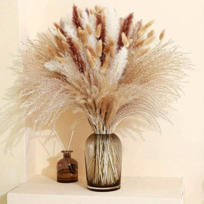 120 Stems Real Dried Pampas Grass Bunch Of 4 Varieties By PK LUXUS™ - PK LUXUS