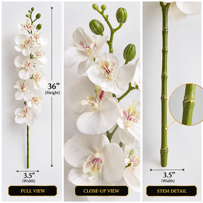 Real Touch Orchid Flowers For Vase and Jars By PK LUXUS™