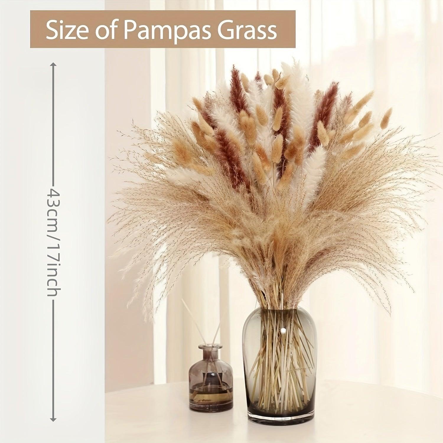 120 Stems Real Dried Pampas Grass Bunch Of 4 Varieties By PK LUXUS™ - PK LUXUS