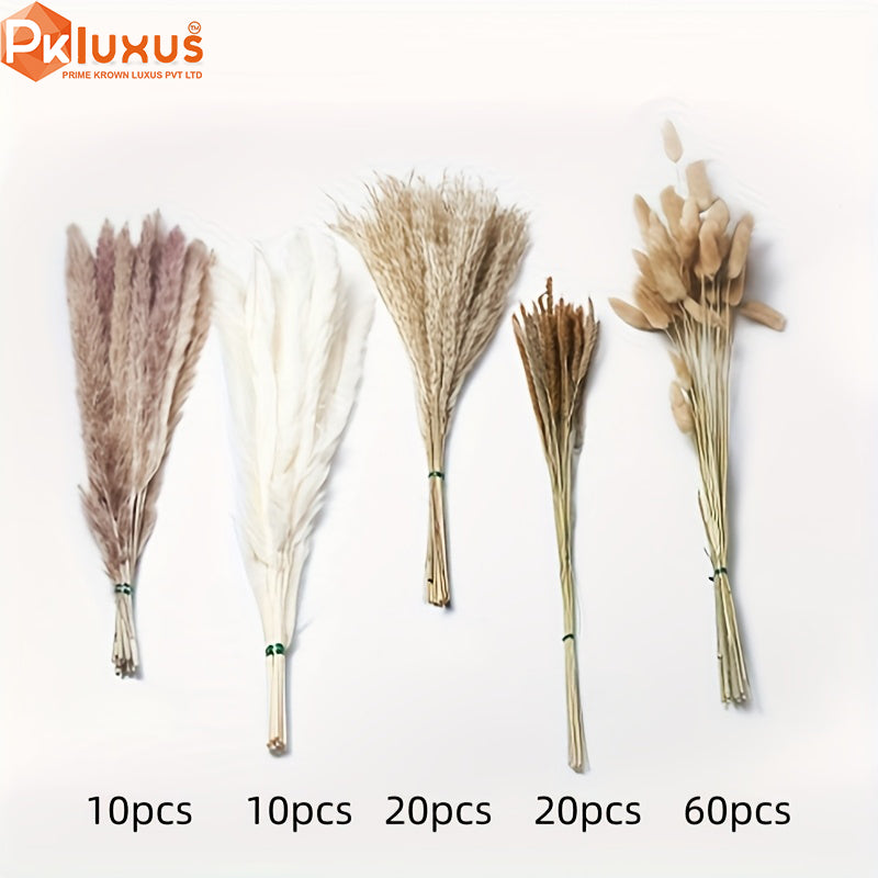 120 Stems Real Dried Pampas Grass Decor Set - 5 Varieties By PK LUXUS™