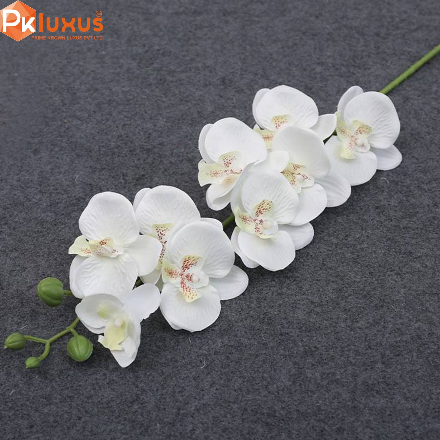 Real Touch Orchid Flowers For Vase and Jars | Home Decoration | PK LUXUS™ - PK LUXUS