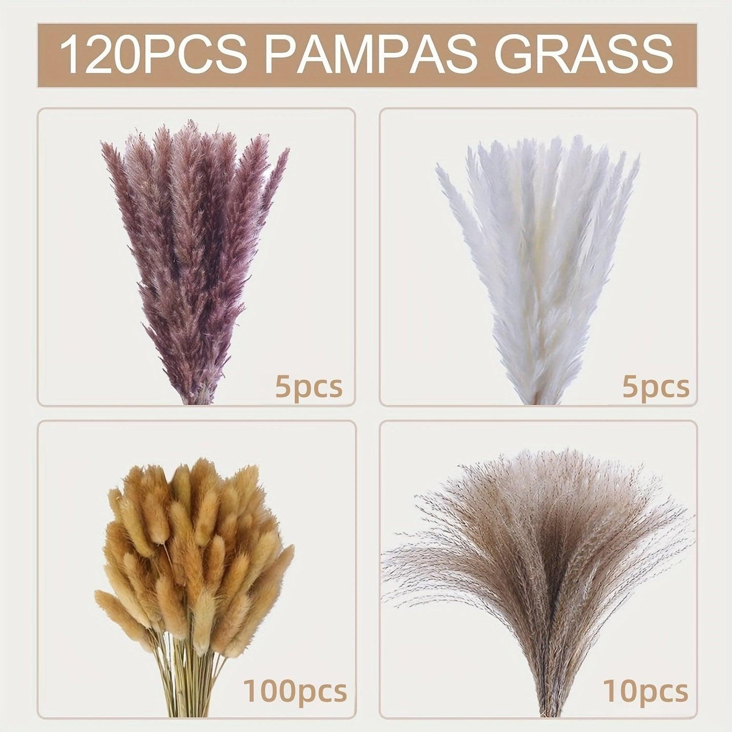 120 Stems Real Dried Pampas Grass Bunch Of 4 Varieties By PK LUXUS™ - PK LUXUS